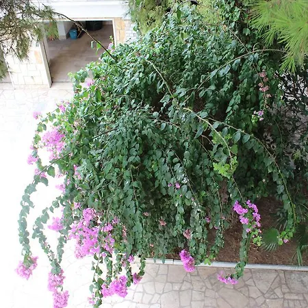 Wanda - Residenza Di Charme Panzió Trani