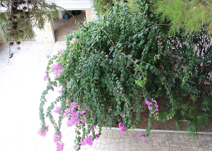 Wanda - Residenza Di Charme Frühstückspension Trani