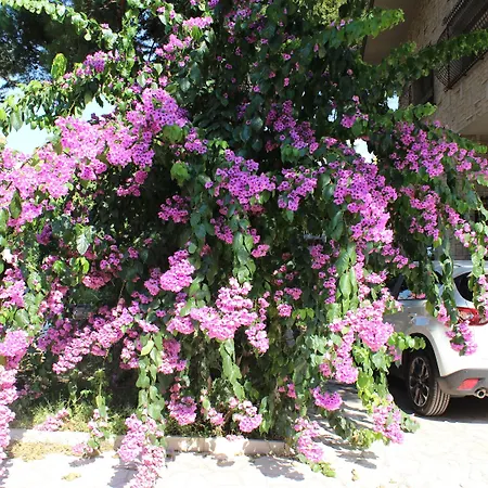 Wanda - Residenza Di Charme Trani