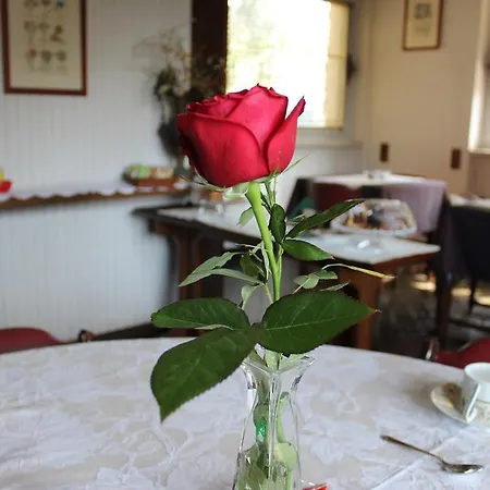 Bed & Breakfast Wanda - Residenza Di Charme 3*