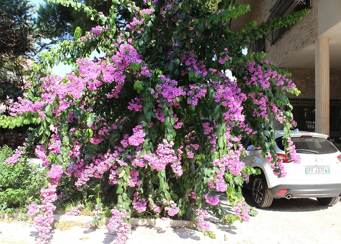 Wanda - Residenza Di Charme טרני